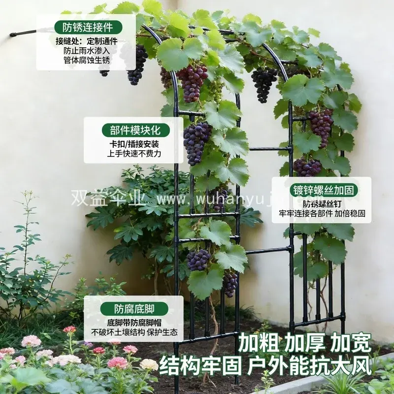 半边靠墙拱门花架葡萄架子户外庭院玫瑰爬藤架蔷薇花攀爬支架藤架