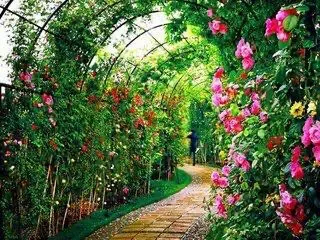拱门花架爬藤架花园月季花支架铁线莲绿萝植物架户外花门庭院装饰细节